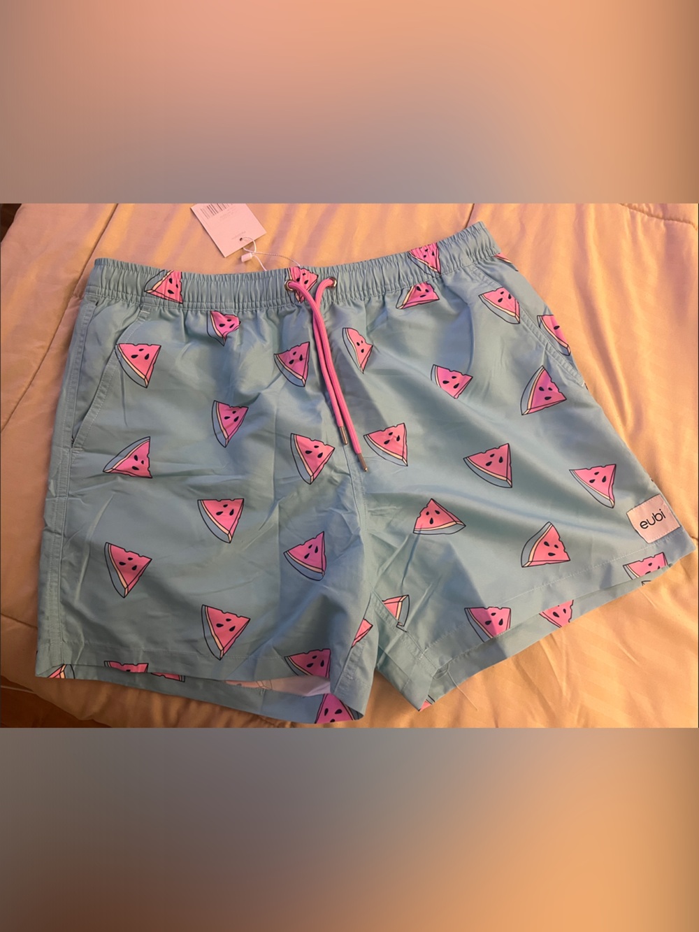 Men's Light Blue Watermelon Print Swim Trunks